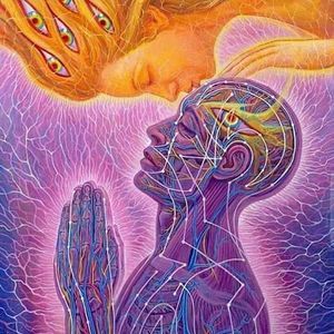 Meet your Posher, Kenneth